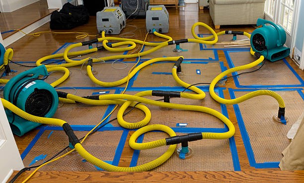 Professional Crawl Space Water Removal technician working in Bath, MI